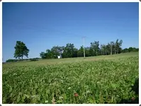 SDC18777.webp