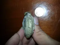 20140724_172240.webp