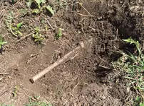 copper ground rod.webp