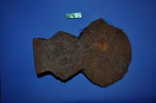 English Kent Pattern Hatchet.webp