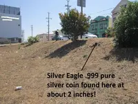 Finds 9-6-14 002.webp