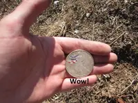 Finds 9-6-14 004.webp