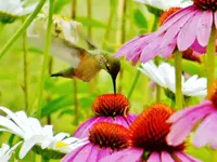 FSCN6529.webp