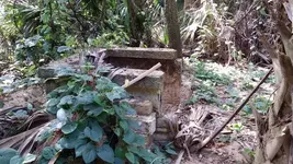 image-3121027849.webp