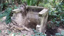 image-3858258911.webp
