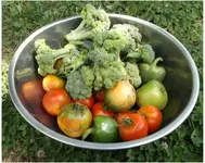 7_28_2014 harvest1.webp