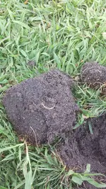 20140728_102819.webp