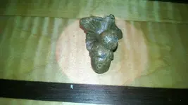 IMG_20140731_130837333.webp