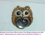 DSCF3060.webp
