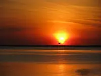 TN1058L-2.webp