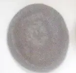 coin 1.webp
