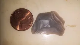 rock chip.webp