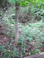 image-3928781507.webp