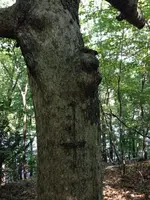 image-3534883.webp