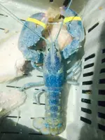 image-1340757597.webp image-1340757597.webp