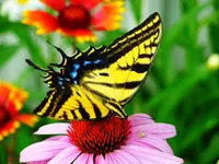 FSCN2436.webp