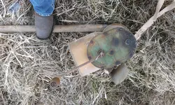 WP_20140120_005.webp