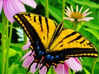 FSCN2602.webp