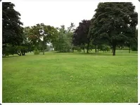 SDC19003.webp