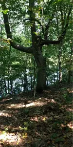 image-3583518503.webp