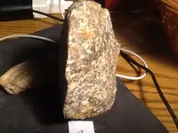 image-1019337649.webp