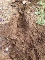 image-3262765806.webp