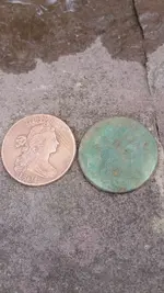 coins.webp coins.webp