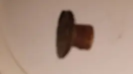 side view of button.webp
