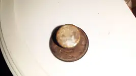 Back of button.webp