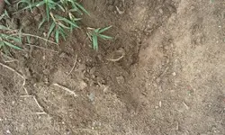 20140825_112217.webp