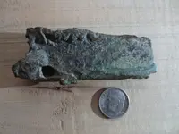 colonial finds 043.webp