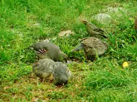 FSCN1647.webp