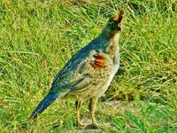 RSCN3507.webp