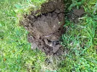 image4.webp