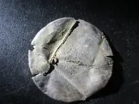 colonial finds 035.webp