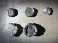 colonial finds 121.webp