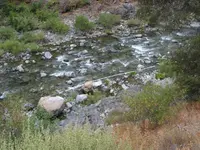 IMG_0009.webp