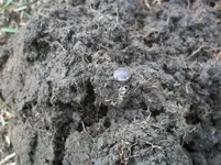 100_2756.webp