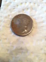 image-3664077169.webp