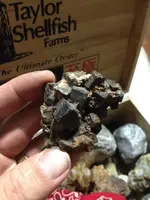 rocks 017.webp