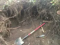 image-756308073.webp