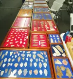 artifact show 009a.webp