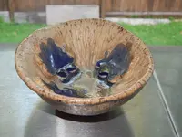 DSCN5926.webp