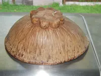 DSCN5927.webp