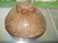 DSCN5928.webp