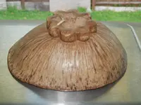 DSCN5929.webp
