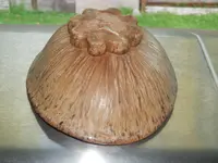 DSCN5930.webp