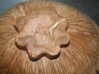 DSCN5931.webp