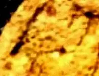 image-3706930029-medalcrop1Asml2.webp