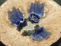 DSCN5934.webp